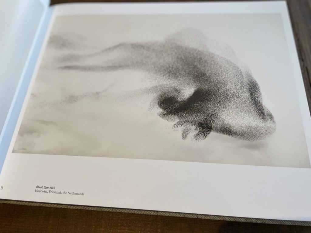 Søren Solkær の写真集 『black sun』