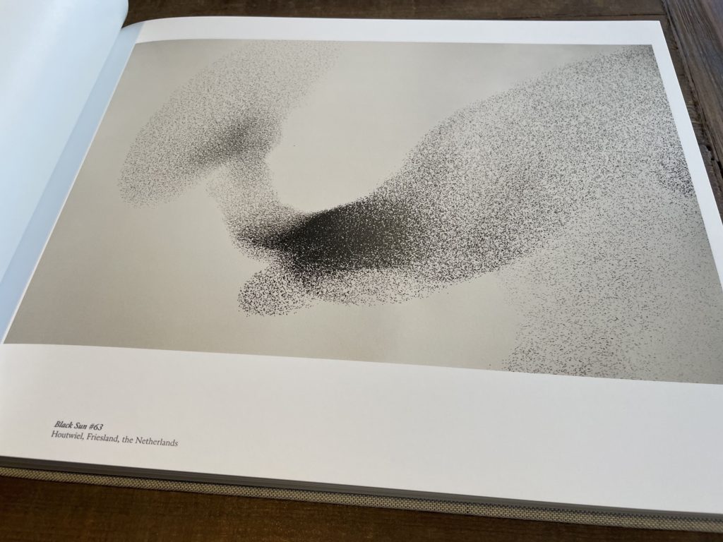 Søren Solkær の写真集 『black sun』