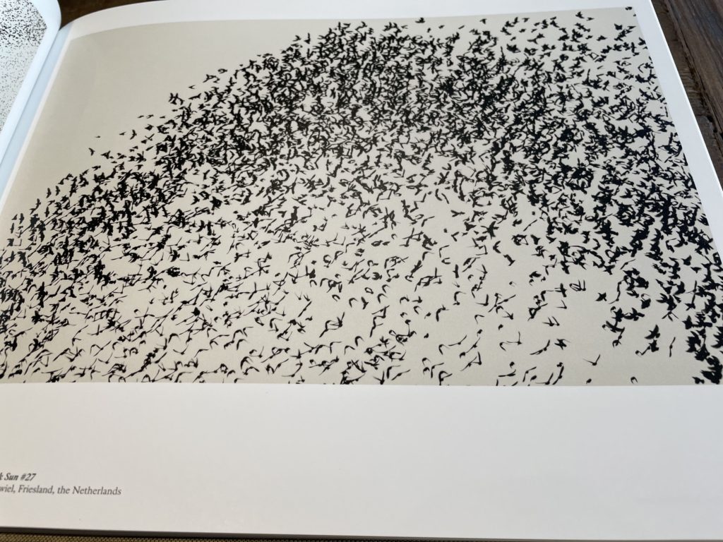 Søren Solkær の写真集 『black sun』