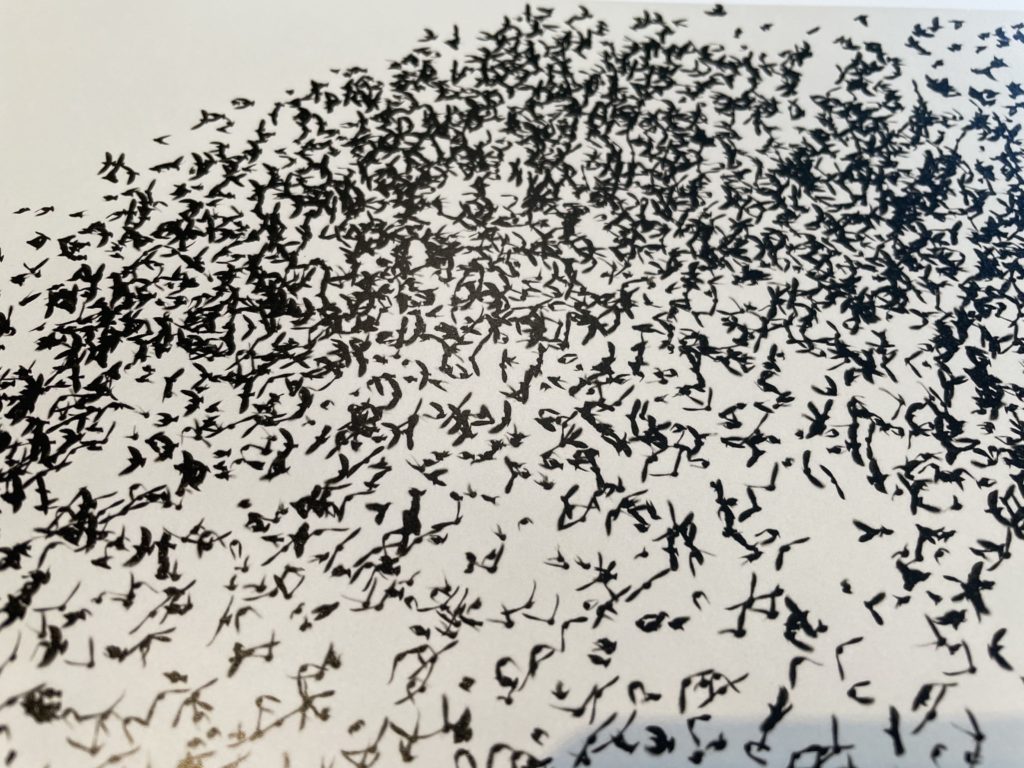 Søren Solkær の写真集 『black sun』