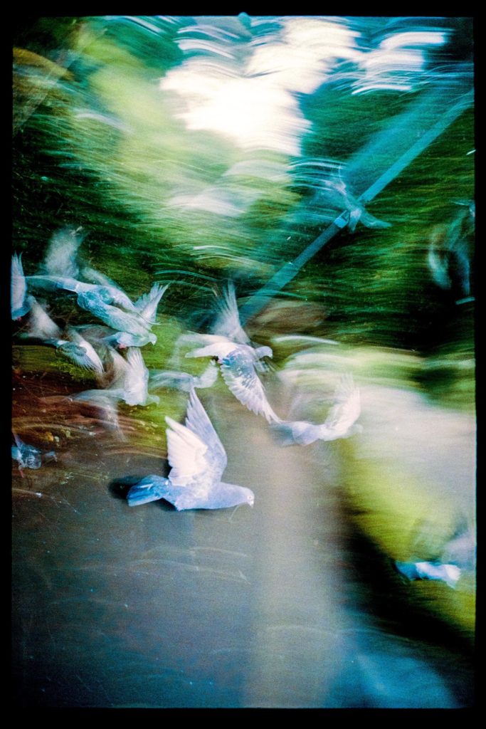 小見山峻 my beautiful tokyo