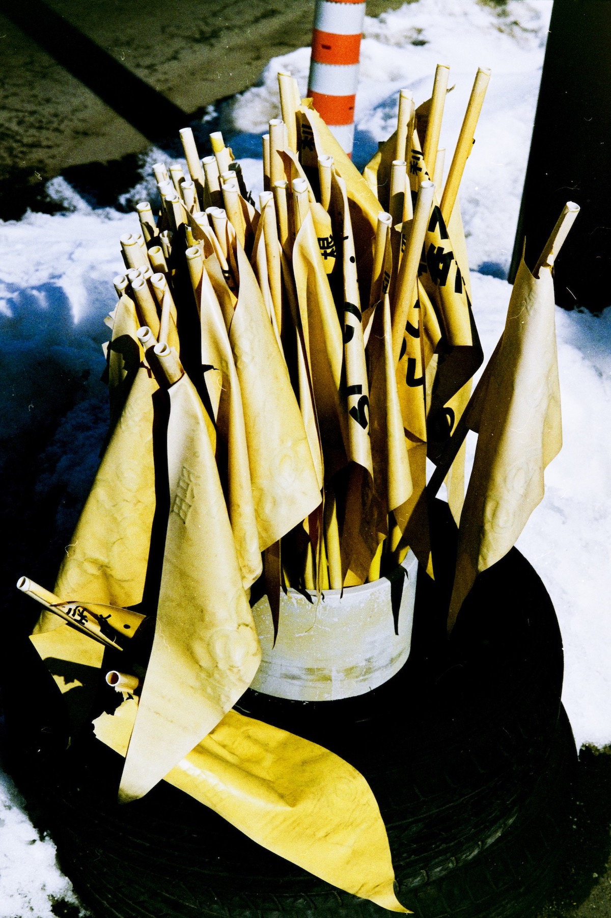 小見山峻 風が応える