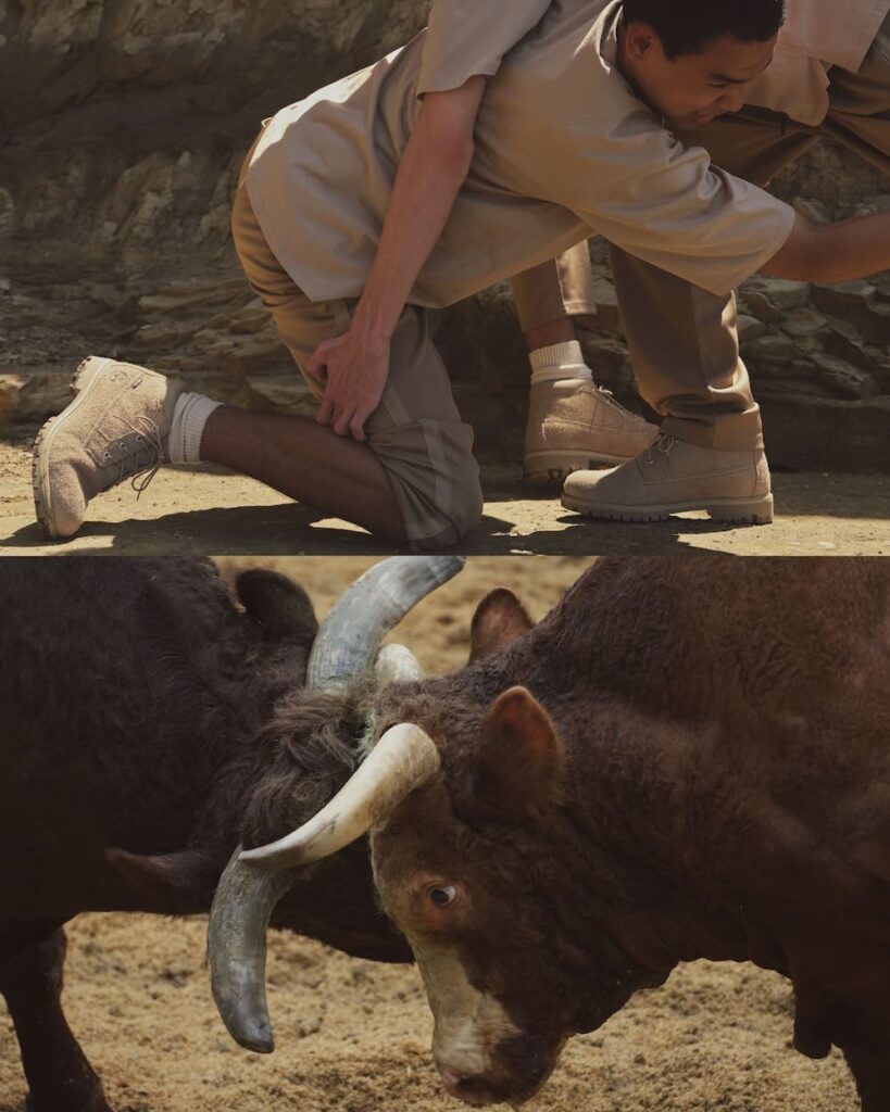 Timberland ティンバーランド & nonnative ノンネイティブ CHUKKA BOOT VIBRAM GTX