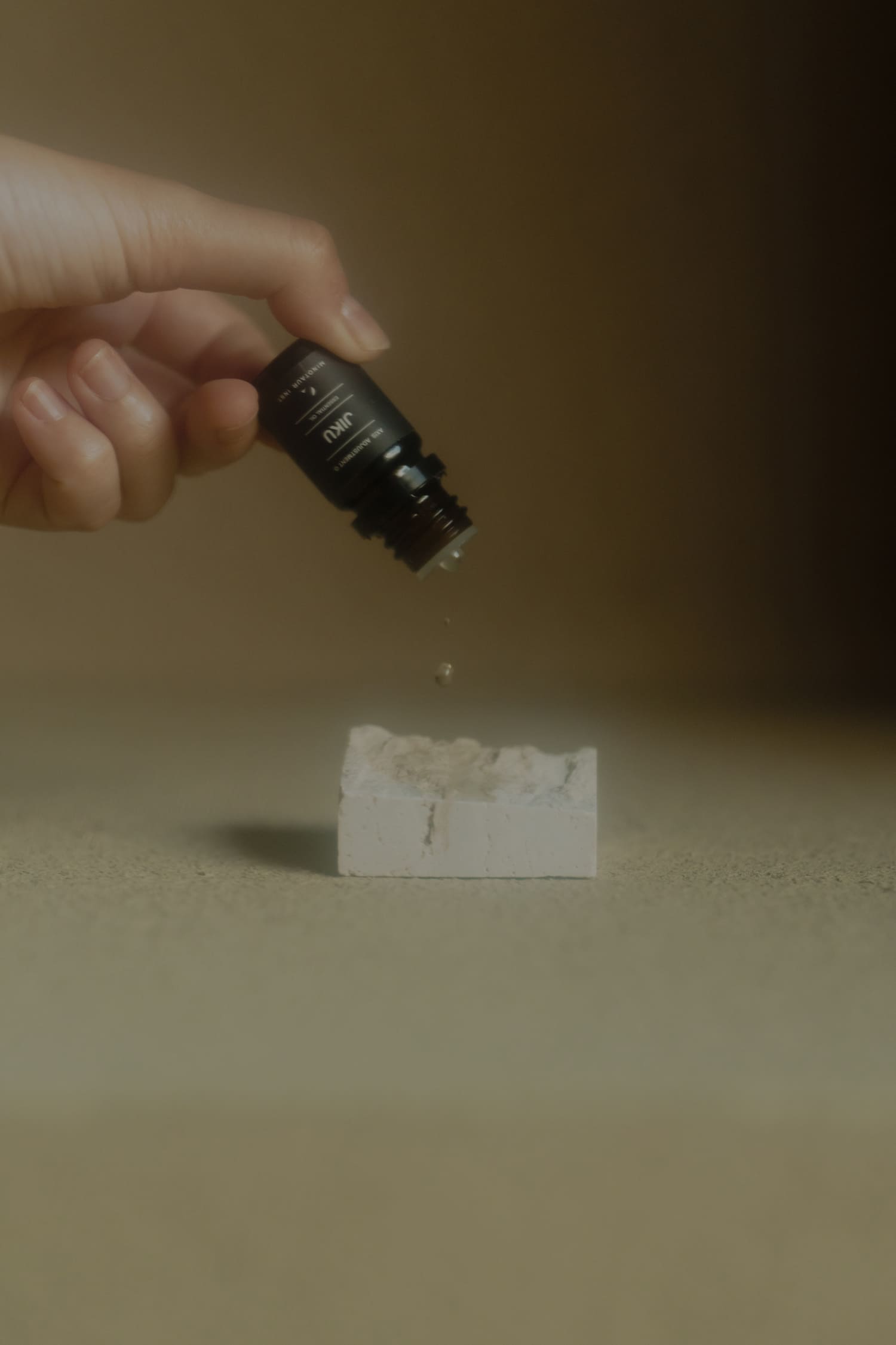 建仁寺 両足院 MINOTAUR INST. ミノトールインスト JIKU